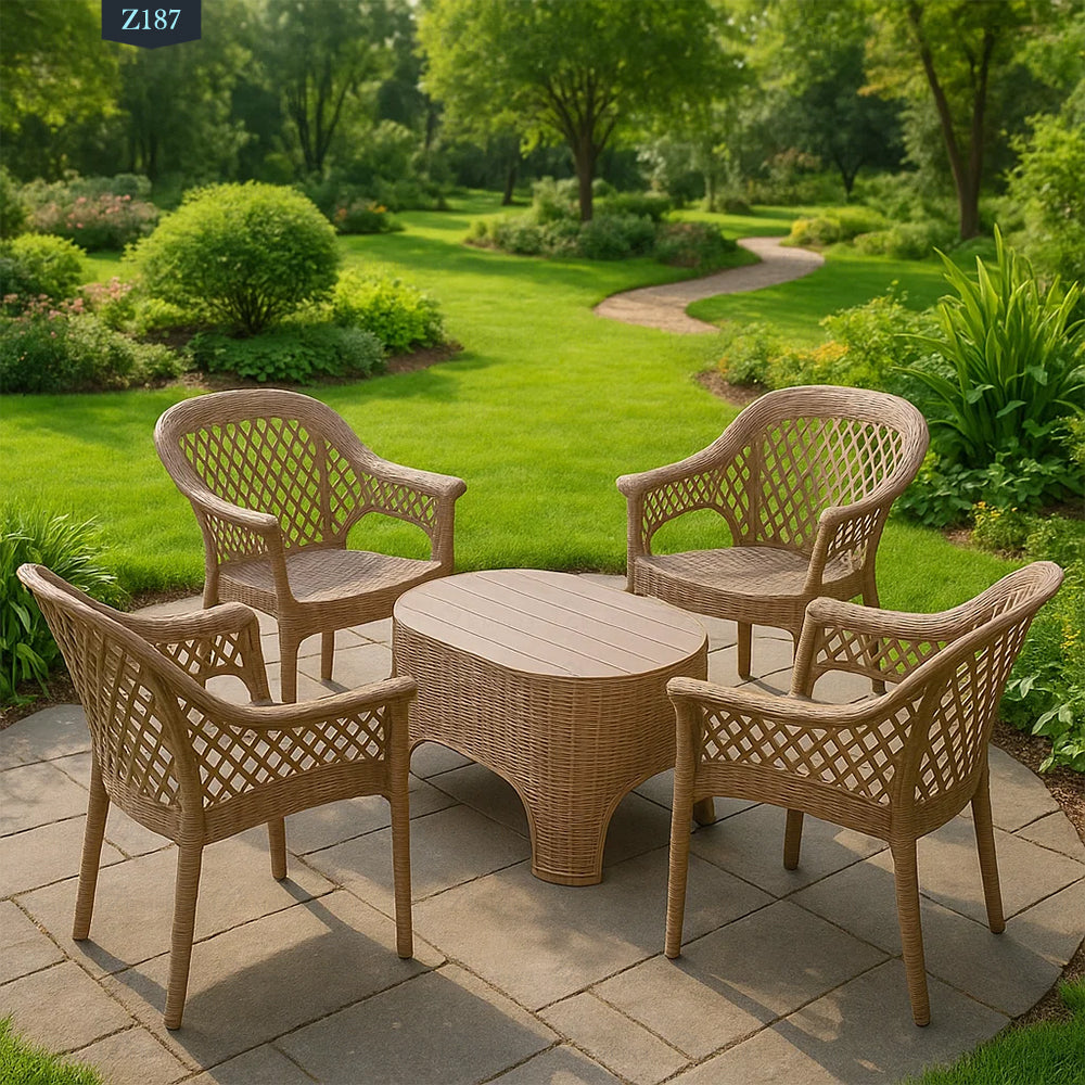 Set of 4 Chairs and Plastic Table - Z187