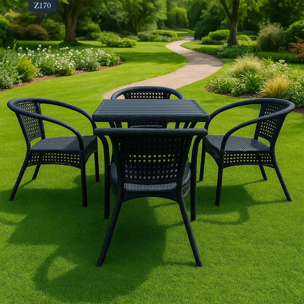 4 Chair and Plastic Table Set - Z170