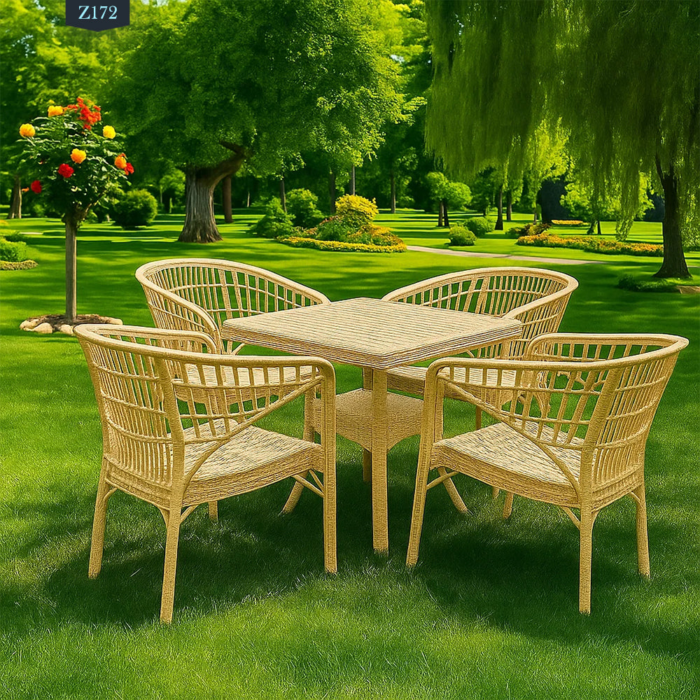 4 Chair and Plastic Table Set - Z172