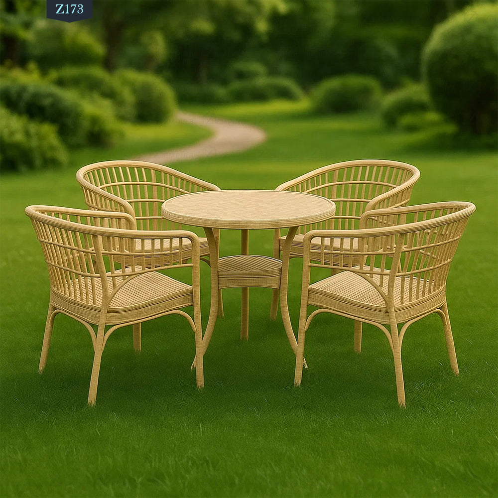 4 Chair and Plastic Table Set - Z173